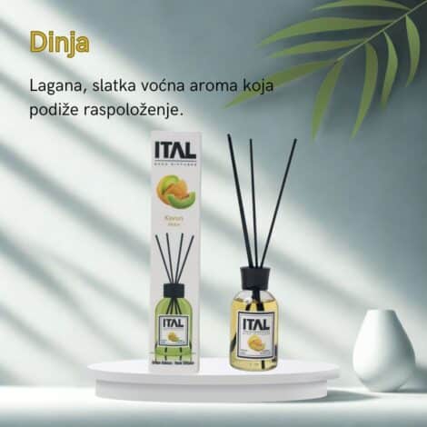 Dinja
