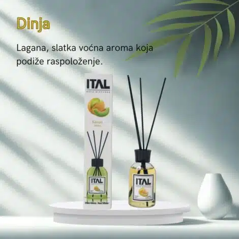 Dinja